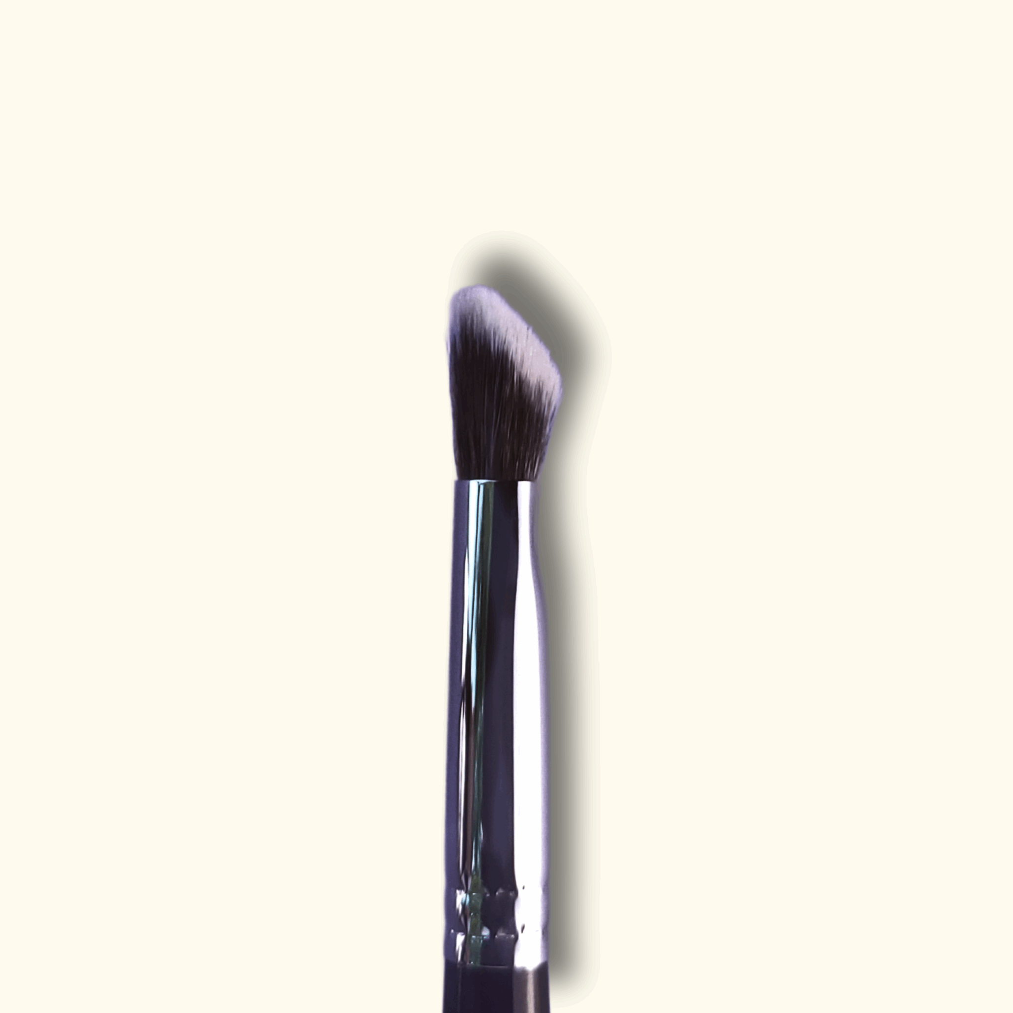 All Bases Covered - Complexion Brush Set