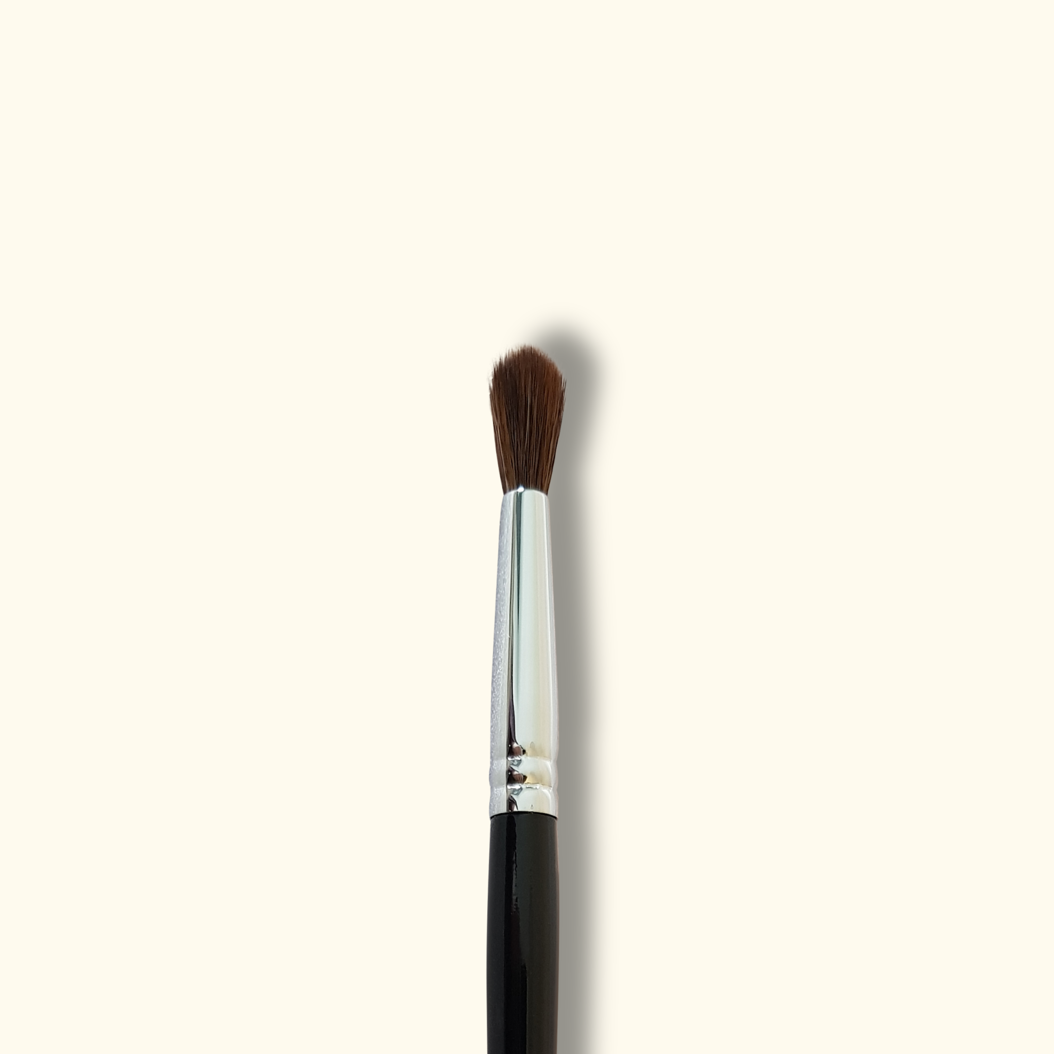 Eyeconic - Eyeshadow Brush Set