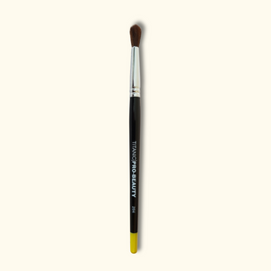 Eyeconic - Eyeshadow Brush Set