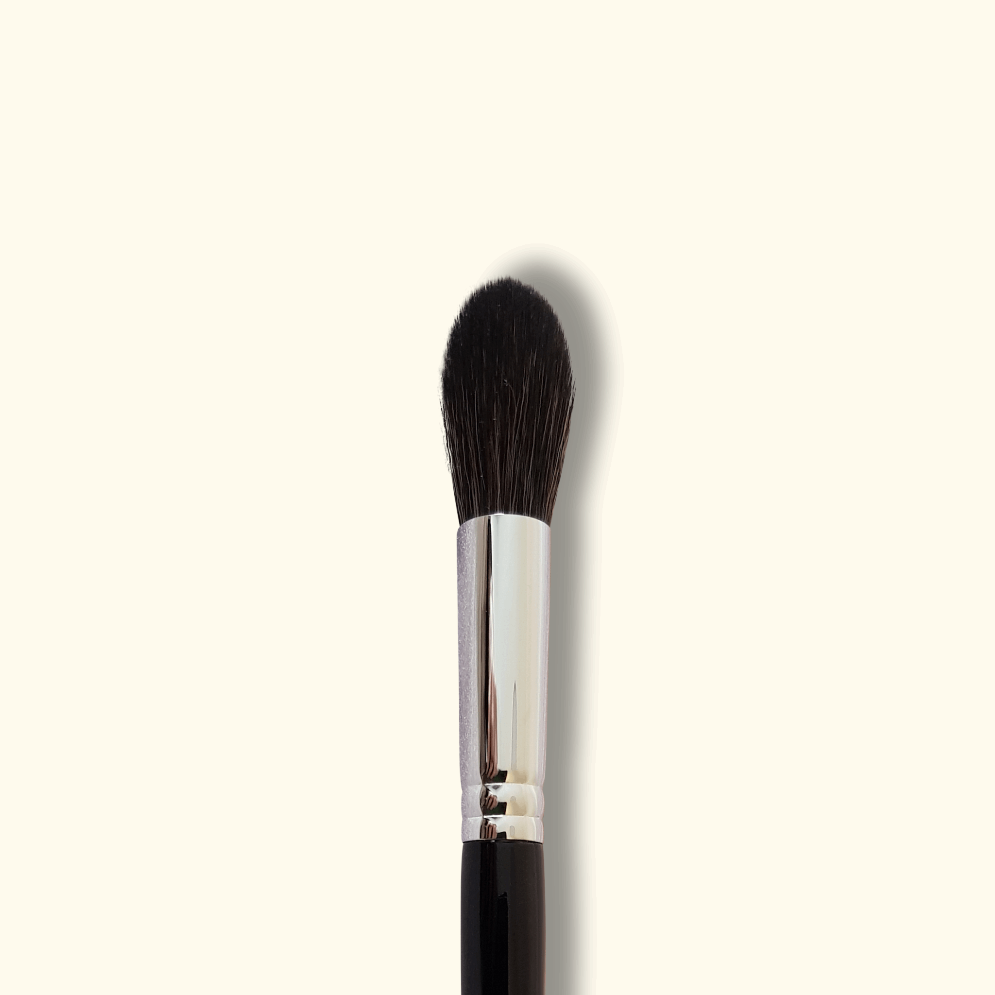 Shape Shifter - Contour Brush Set